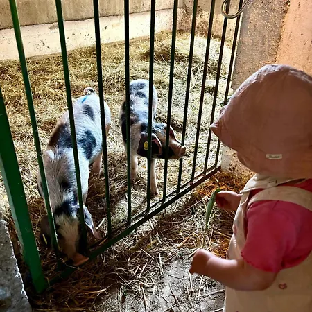 Kainer Carina Lejlighed