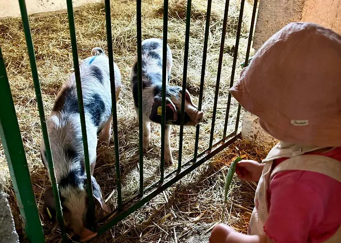 Kainer Carina Lägenhet